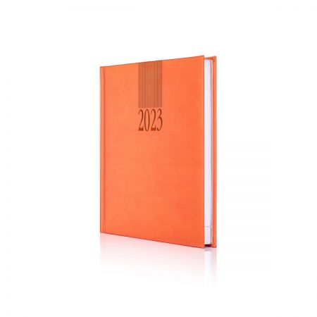 2023 Tucson Diary (White Pages)
