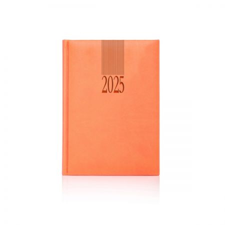 2025 Tucson Diary (White Pages)