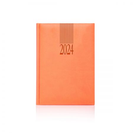 2024 Tucson Diary (White Pages)